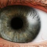 eye