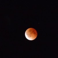 Blood moon 2