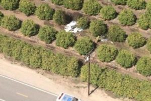 Small-plane-crash-kills-2-in-Ventura-County-Calif