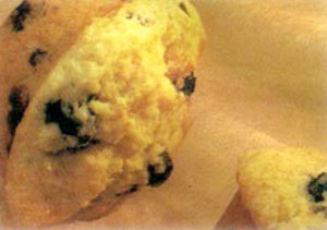 lemon-blueberry-muffins