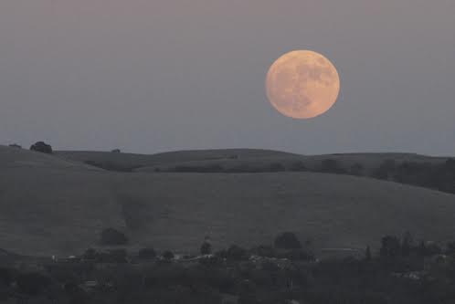 seven largest moons