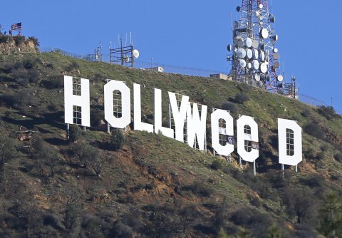 Hollyweed