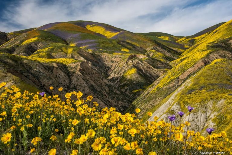 Carrizo Plain likely to remain national monument