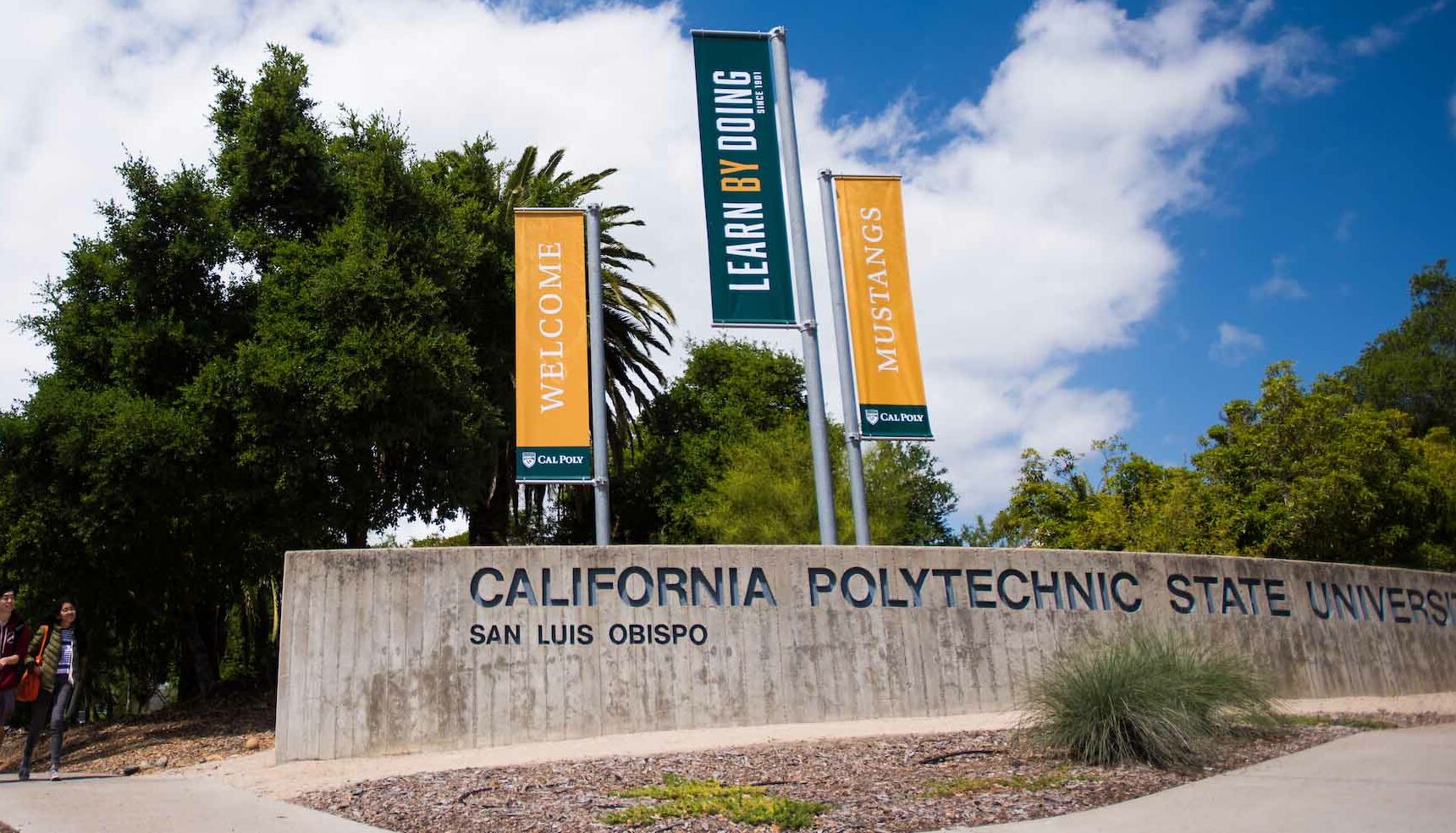 Bicyclist killed in crash in SLO identified as Cal Poly student - Vimarsana News