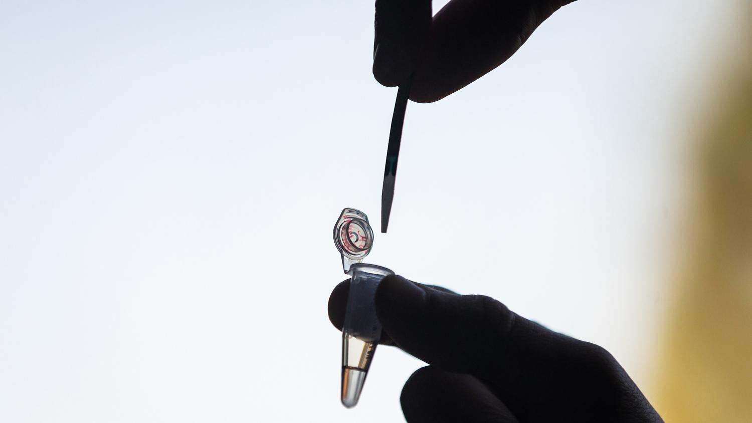 Cal Poly's innovative COVID-19 testing headed to market - Vimarsana News