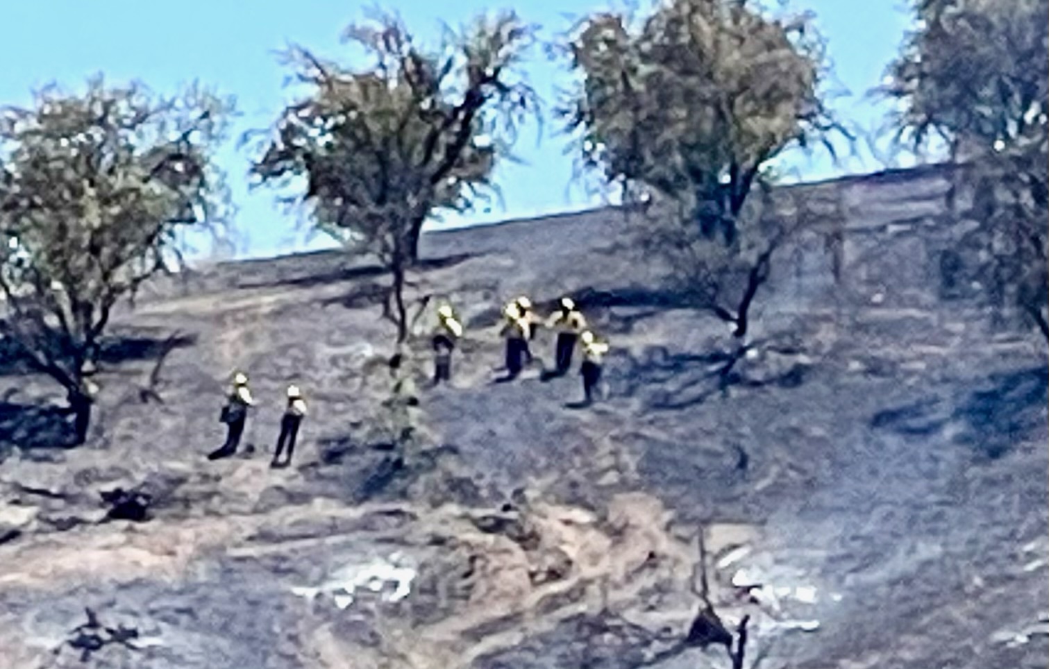 Fire that threatened dog kennel in Paso Robles fully contained