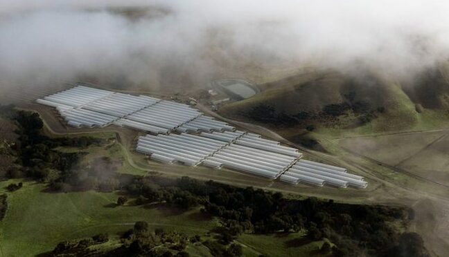 Santa Barbara County pot grow in line to be largest in California - Vimarsana News