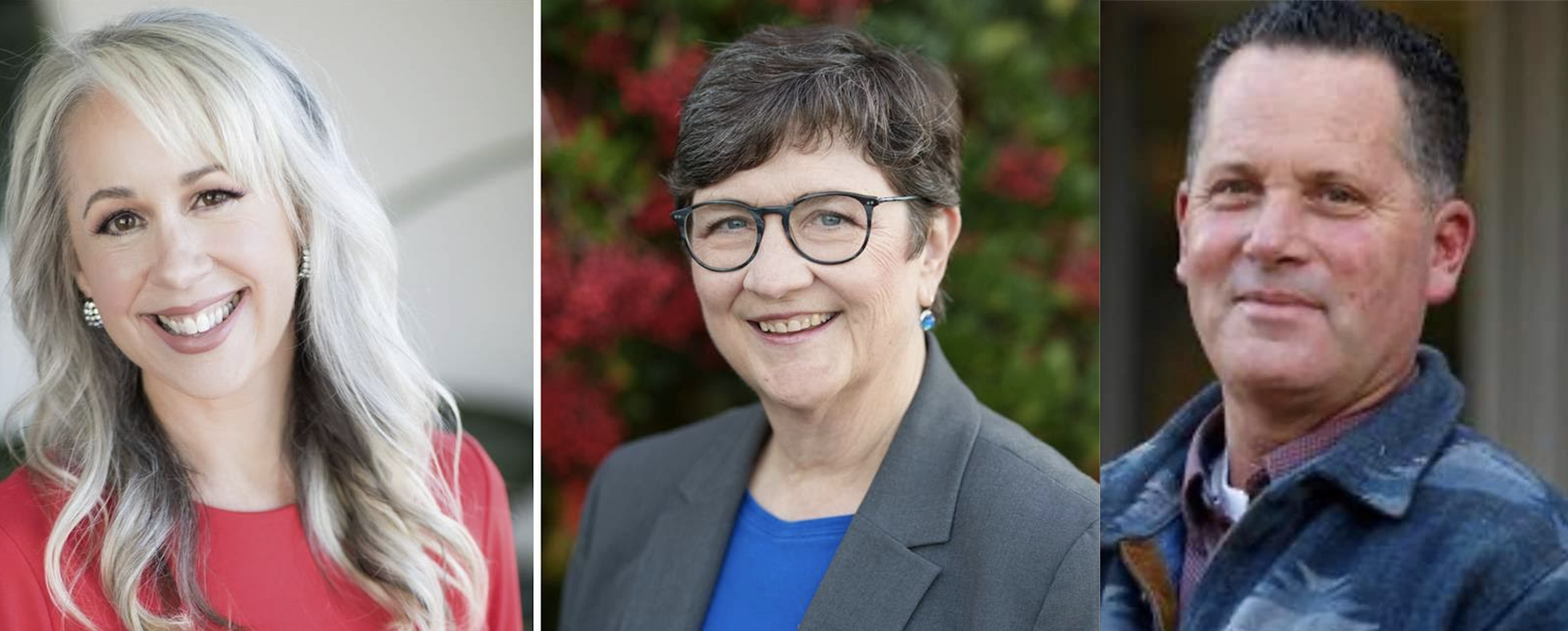 Candidates emerge in SLO County 2024 supervisor races - Vimarsana News