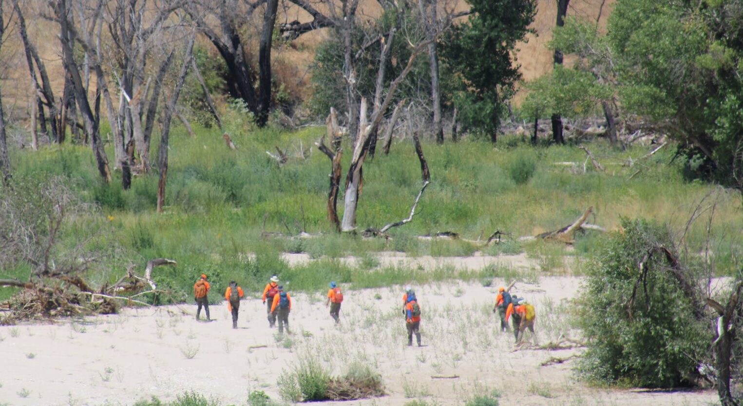 Human bones found during SLO County search, not Kyle Doan