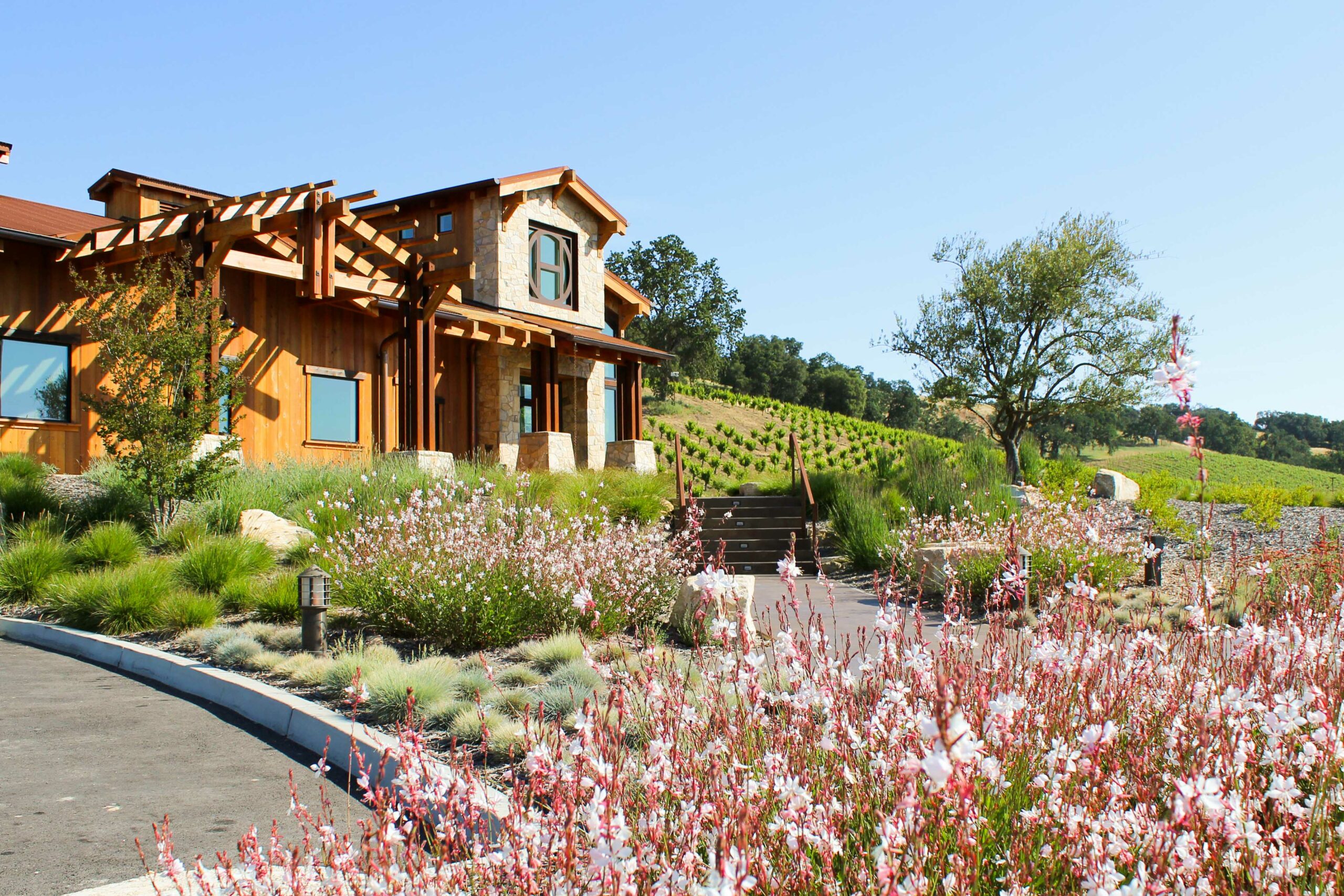 Plane crashes at winery in rural Paso Robles - Vimarsana News
